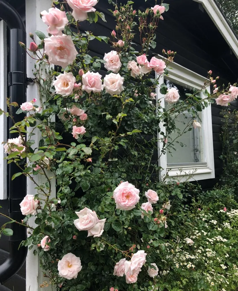 Fritidshus, Ormen Långes väg 33, Trummenäs, Karlskrona