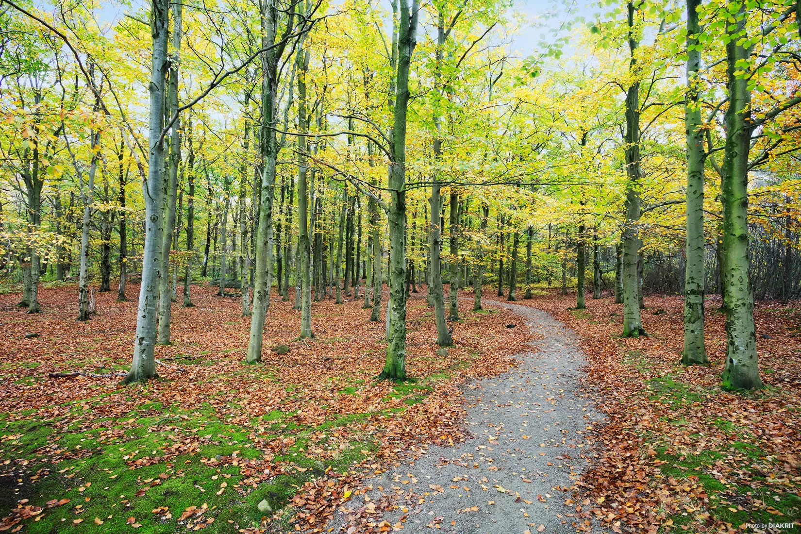 Bostadsrätt, Granvägen 17, Brunnsberg, Varberg