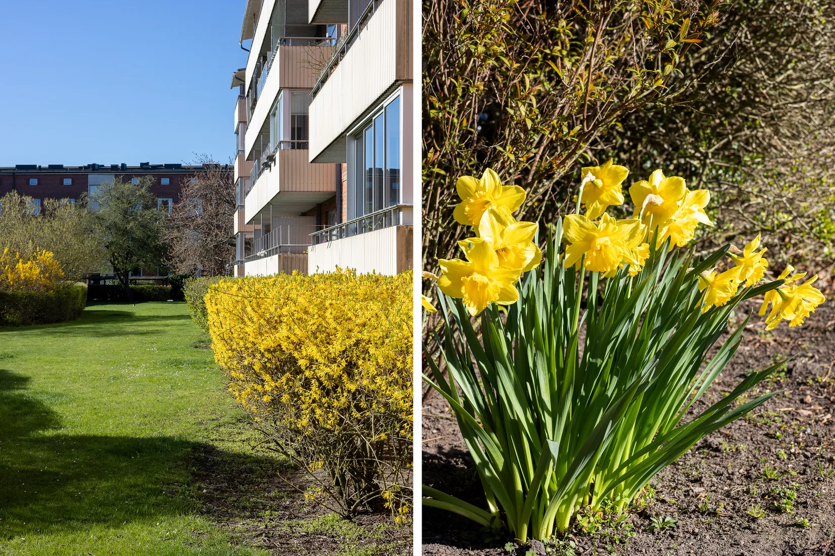Bostadsrätt, Dammfrivägen 52D, Malmö