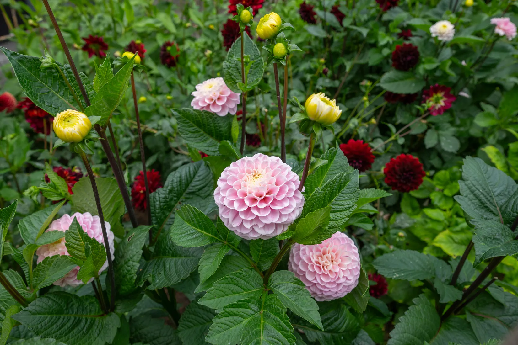 Villa, Trulsibrunnvägen 40, Höllviken, Vellinge