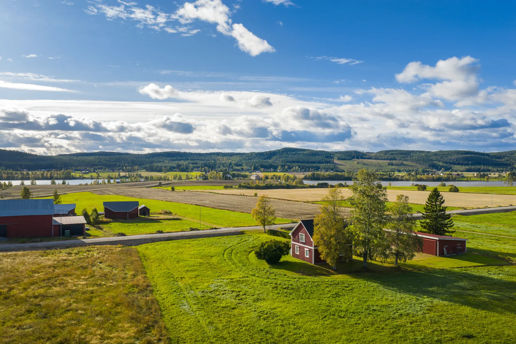 Gård/Skog, Ljusvattnet 291, Ljusvattnet, Skellefteå