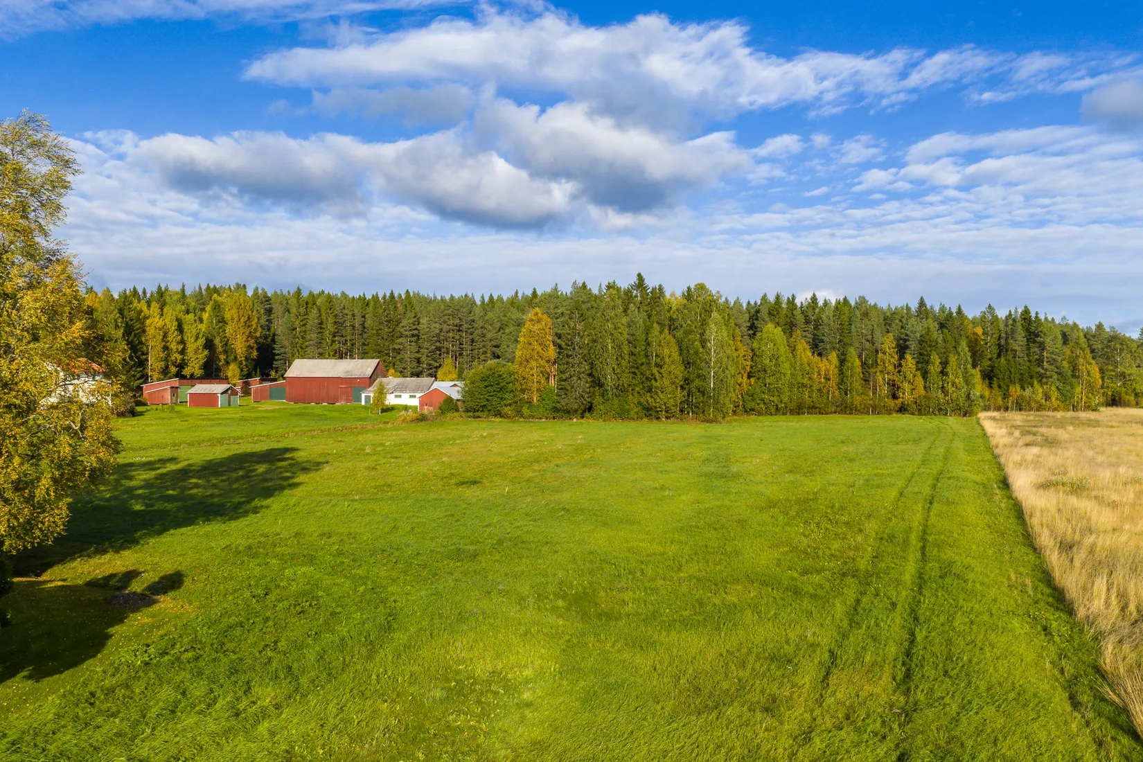 Gård/Skog, Ljusvattnet 291, Ljusvattnet, Skellefteå