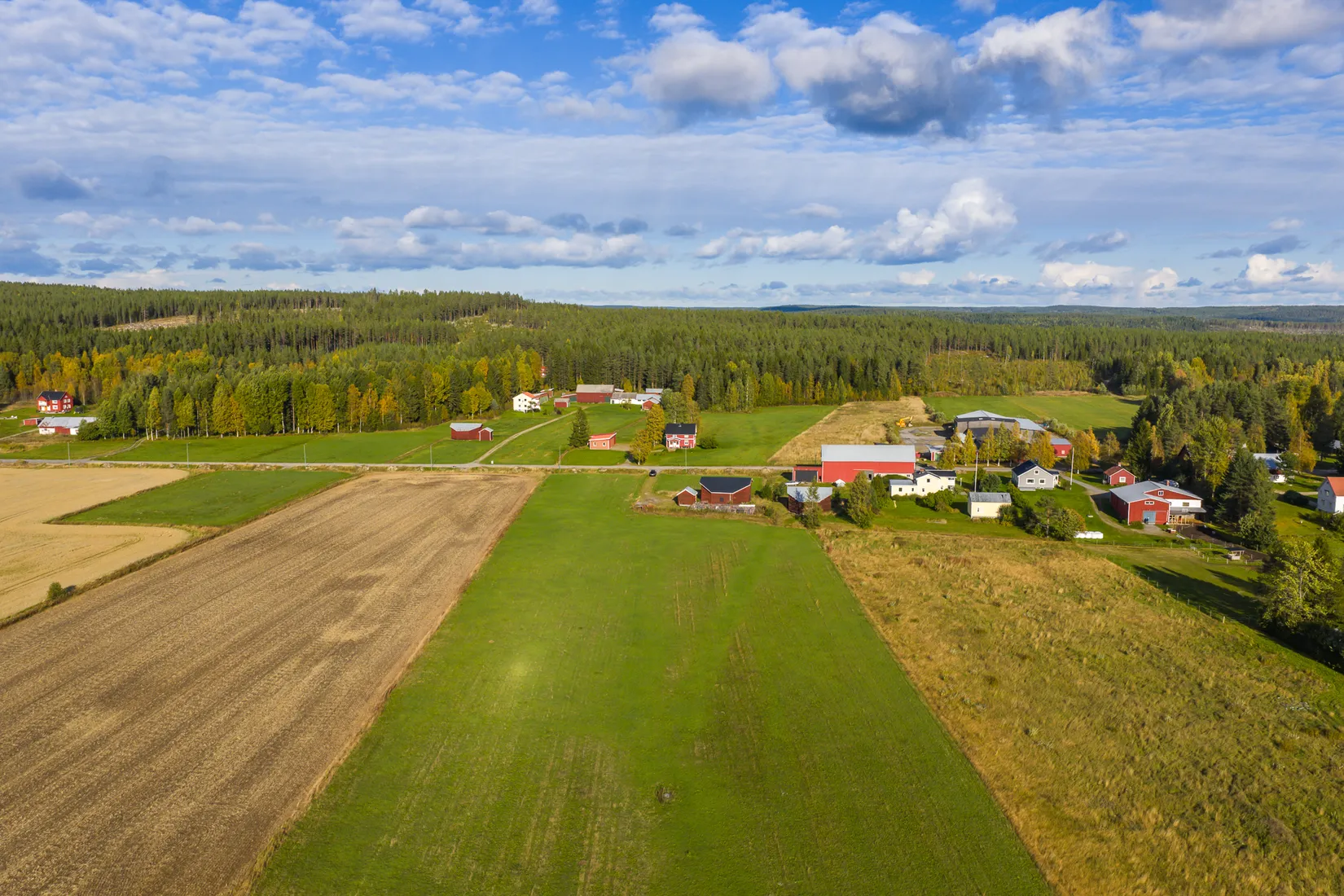 Gård/Skog, Ljusvattnet 291, Ljusvattnet, Skellefteå