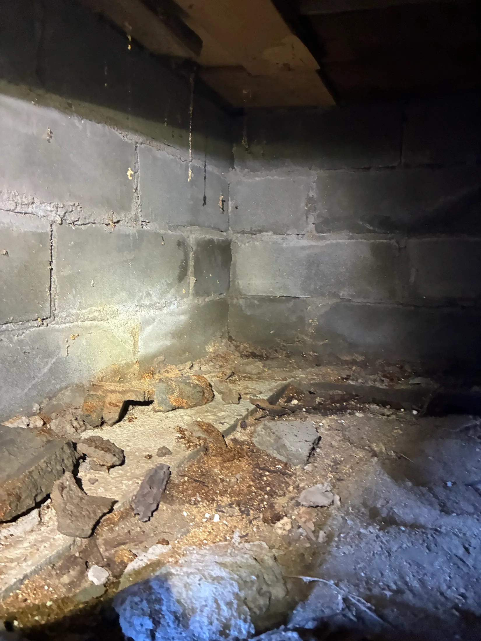 Gård/Skog, Ljusvattnet 291, Ljusvattnet, Skellefteå