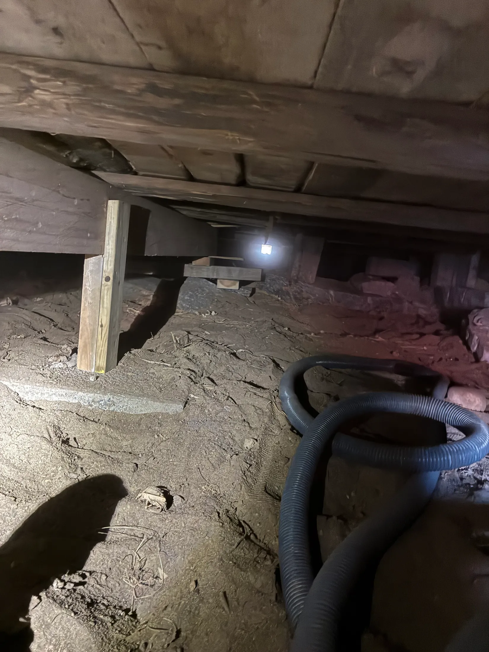 Gård/Skog, Ljusvattnet 291, Ljusvattnet, Skellefteå