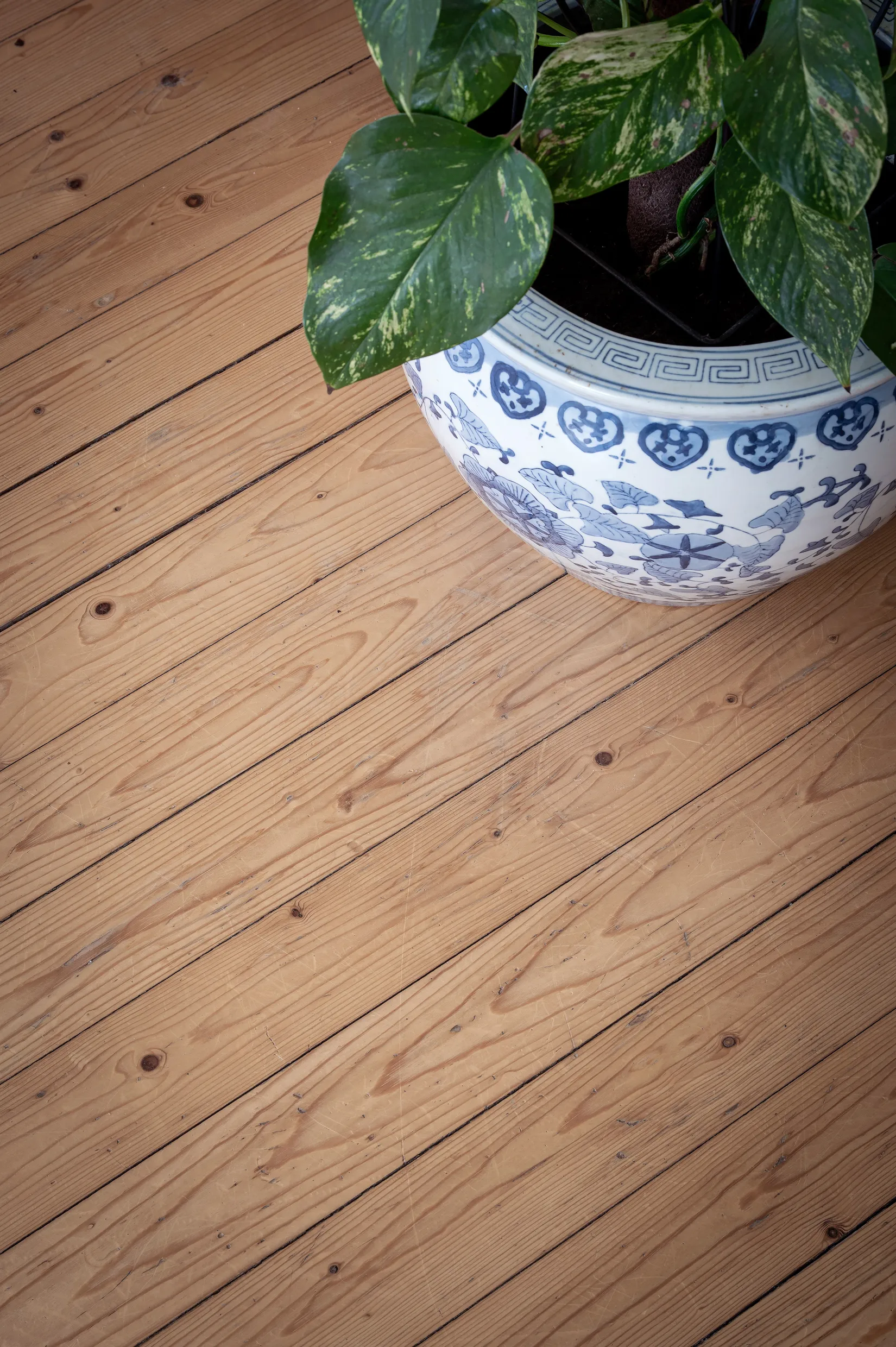 Gård/Skog, Svensavägen 31, Fjärås, Kungsbacka