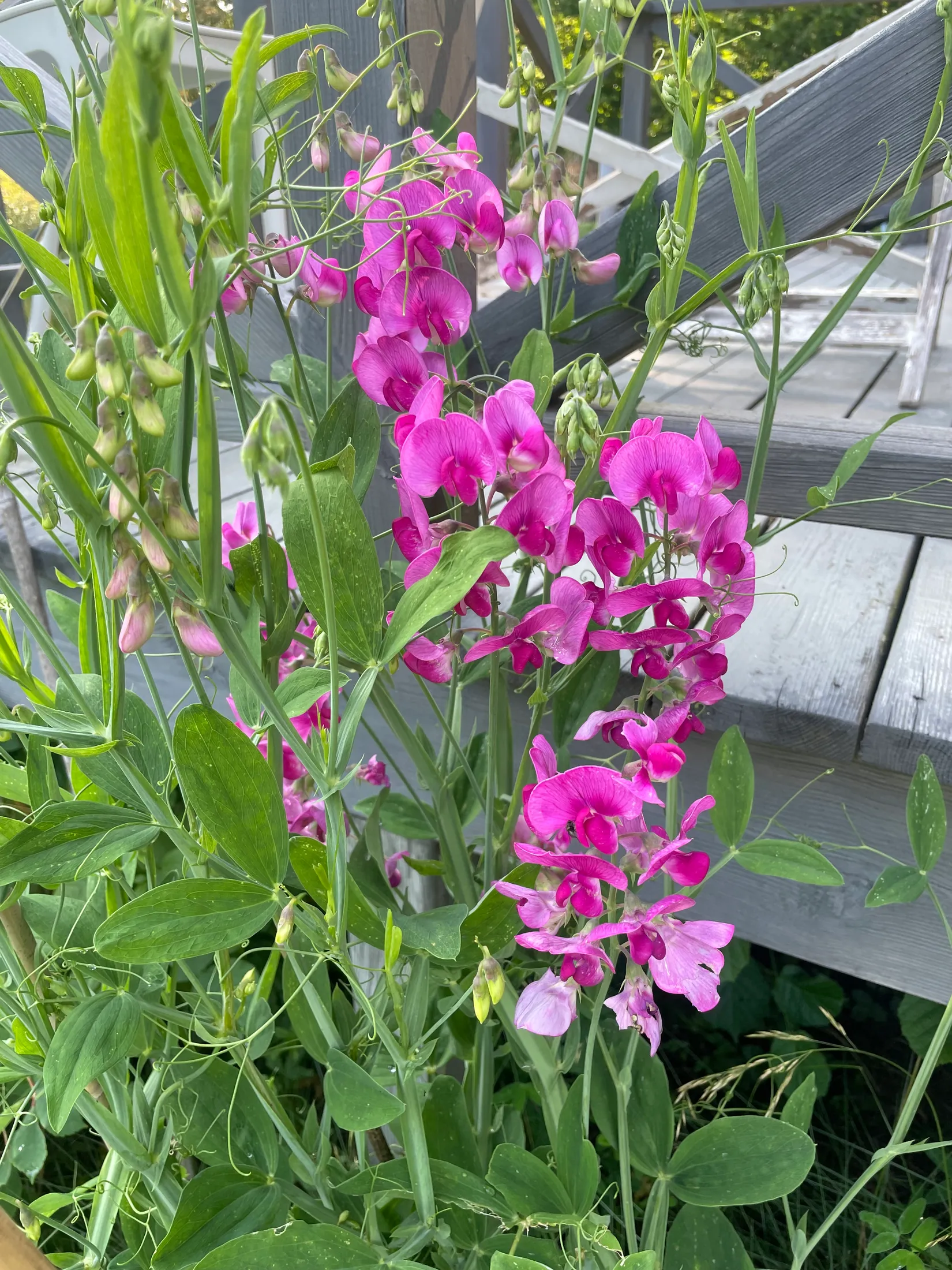 Fritidshus, Eda mossväg 14, Eda, Knivsta