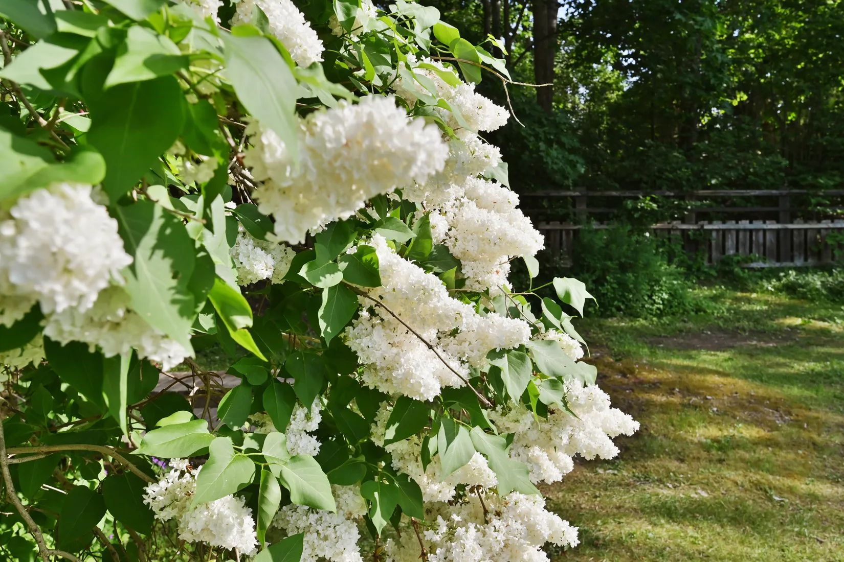 Villa, Verdandivägen 24, Viby/Norrviken, Sollentuna