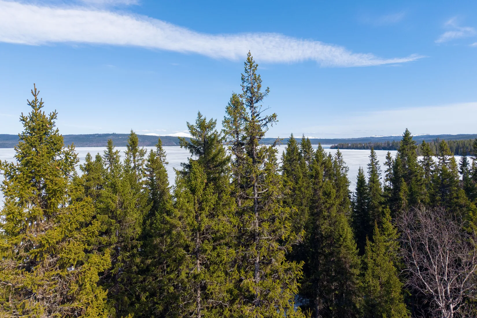 Tomt, ÅRE TÅNGBÖLE 1:57, Åre
