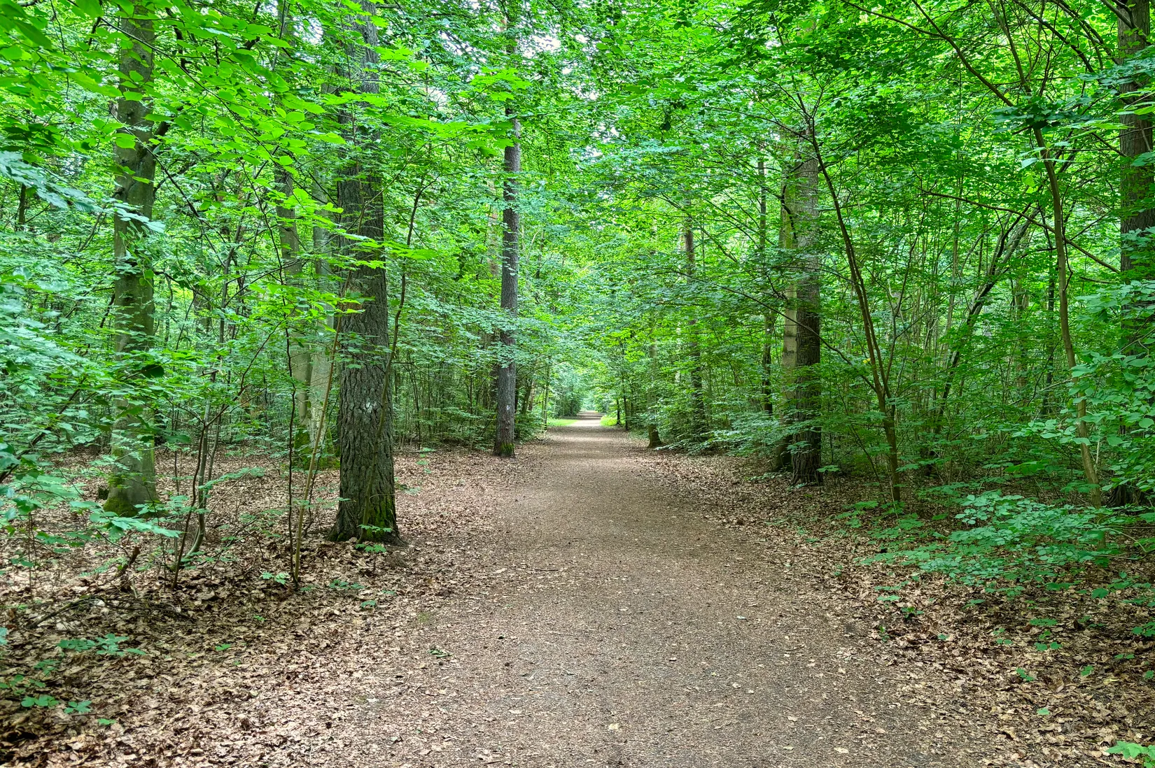 Villa, Drottninggatan 16, Furulund, Kävlinge