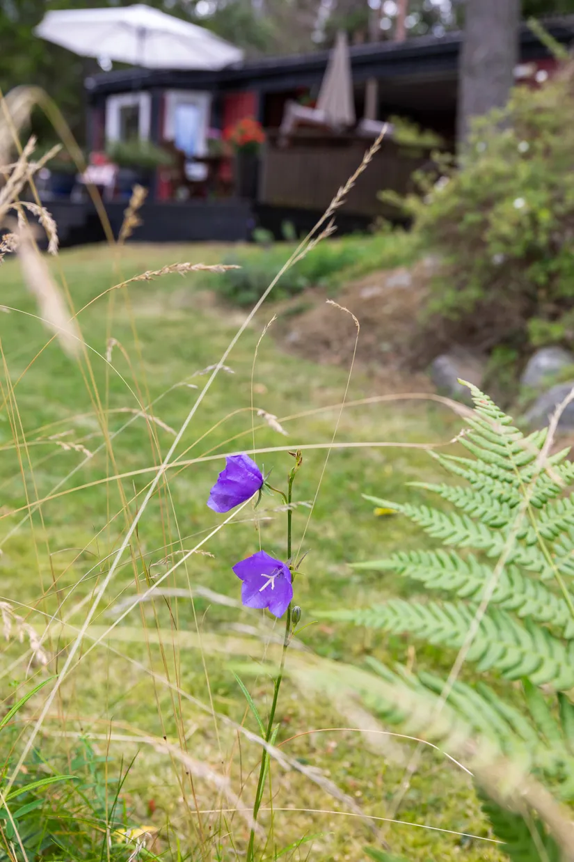 Fritidshus, Öster-Mörtarö 113, Öster-Mörtarö, Gräsö, Östhammar