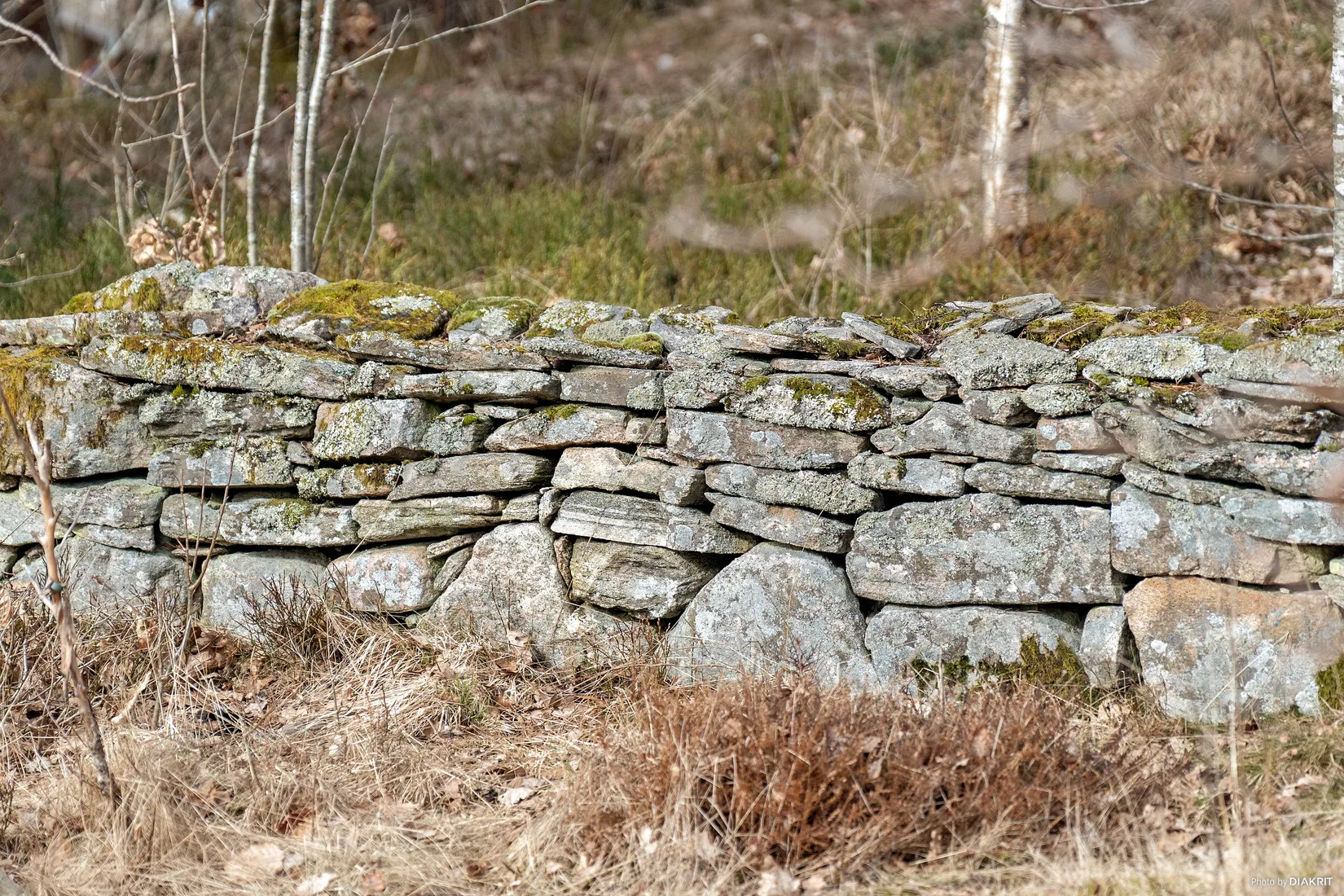 Villa, Västra Bodarnevägen 63, Västra Bodarna, Alingsås