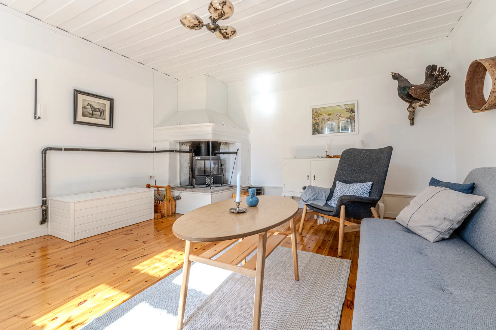 Gård/Skog, Svarttjärn 123, Svarttjärn, Skellefteå