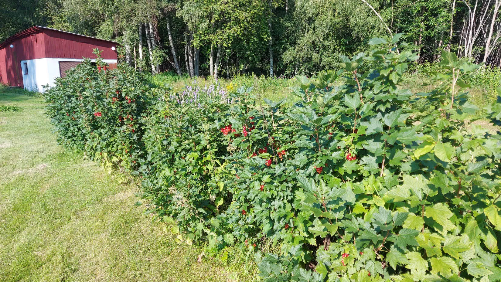 Villa, Krusmon 5, Ambjörby, Torsby