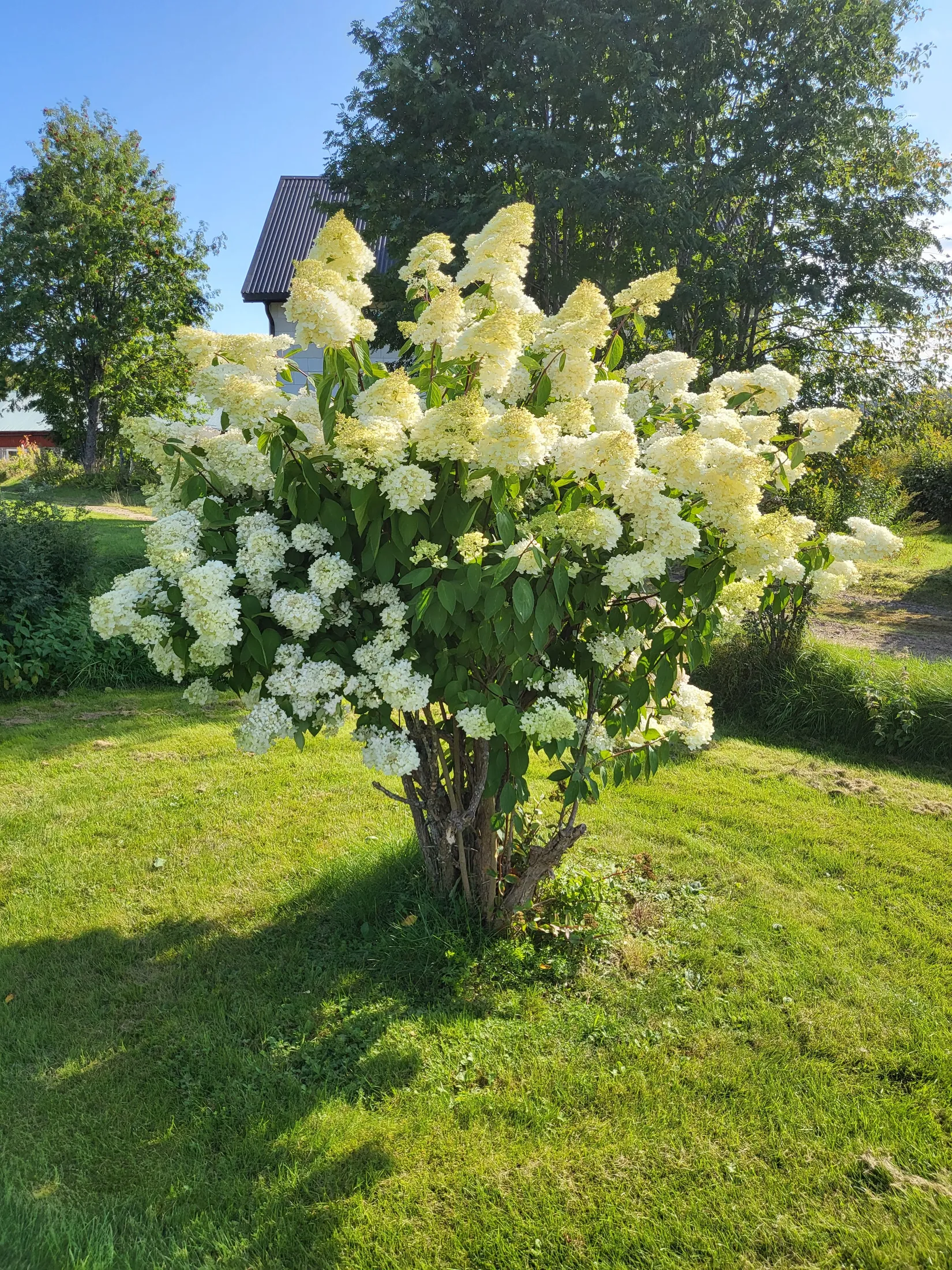 Villa, Krusmon 5, Ambjörby, Torsby