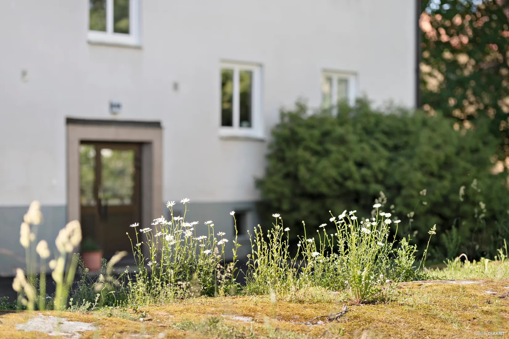 Bostadsrätt, Karlsrogatan 86a, Sommaro, Uppsala