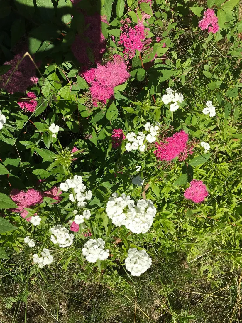 Fritidshus, Stenskärsvägen 26, Stenskär, Östhammar