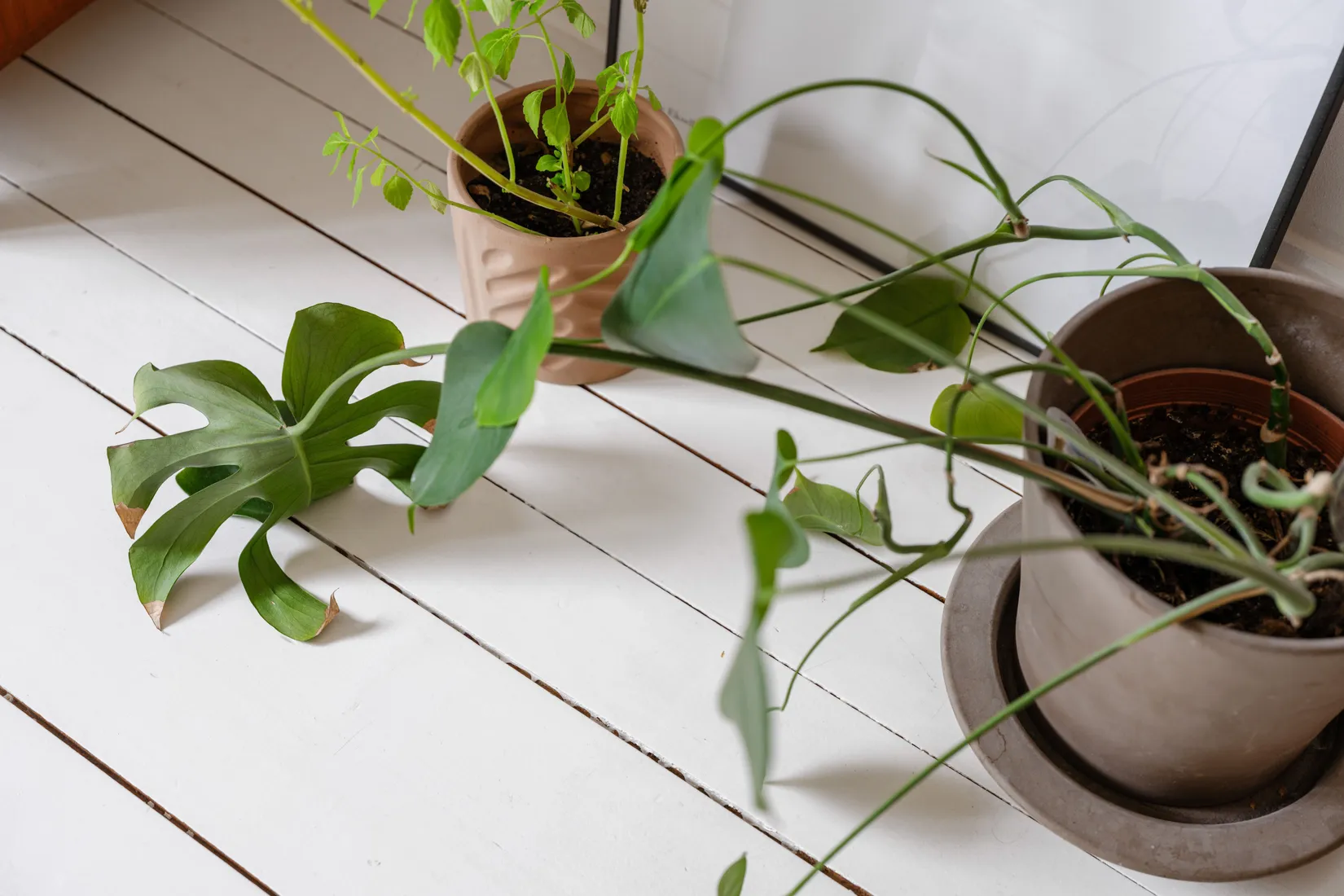 Bostadsrätt, Nobelvägen 117b, Sorgenfri, Malmö