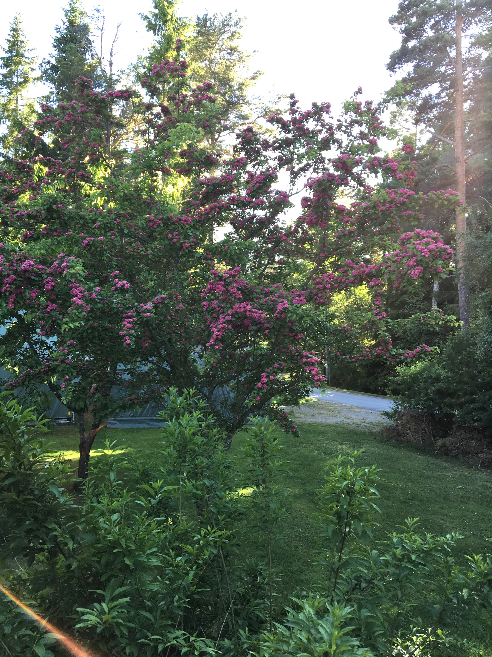 Villa, Hästskoslingan 21, Norra Ingaröstrand, Värmdö