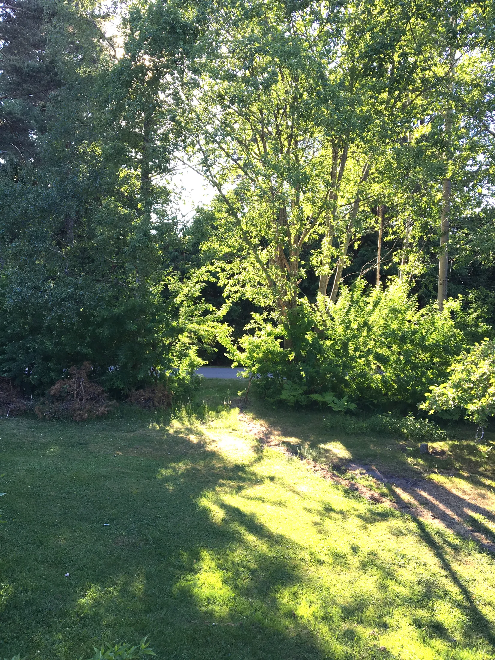 Villa, Hästskoslingan 21, Norra Ingaröstrand, Värmdö