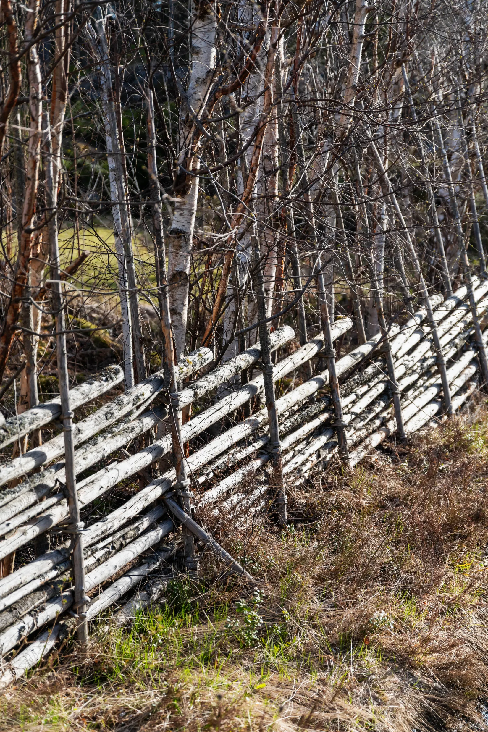 Fritidshus, Mobackens väg 23, Mobacken- Grisslehamn, Norrtälje