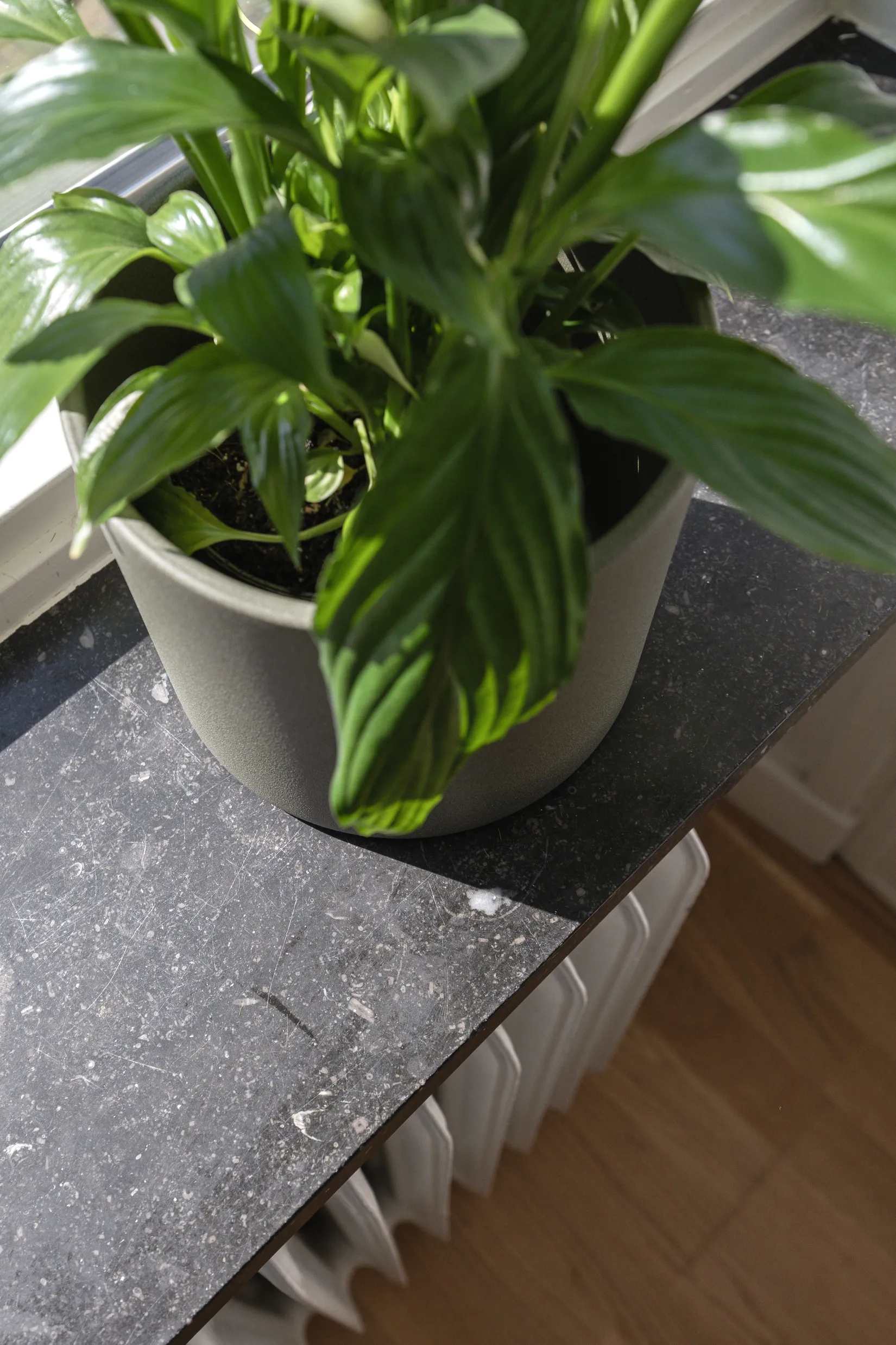 Bostadsrätt, Norbergsgatan 4A, Lund - Centrum, Lund