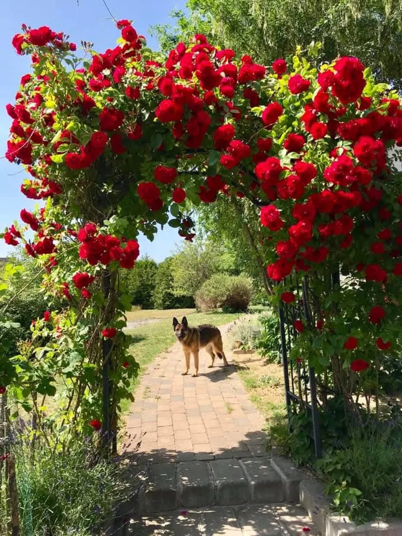 Villa, Huldrevägen 6, Rensättra, Nacka