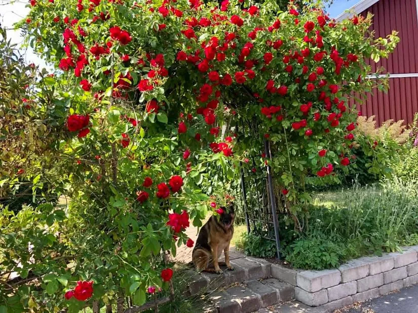 Villa, Huldrevägen 6, Rensättra, Nacka