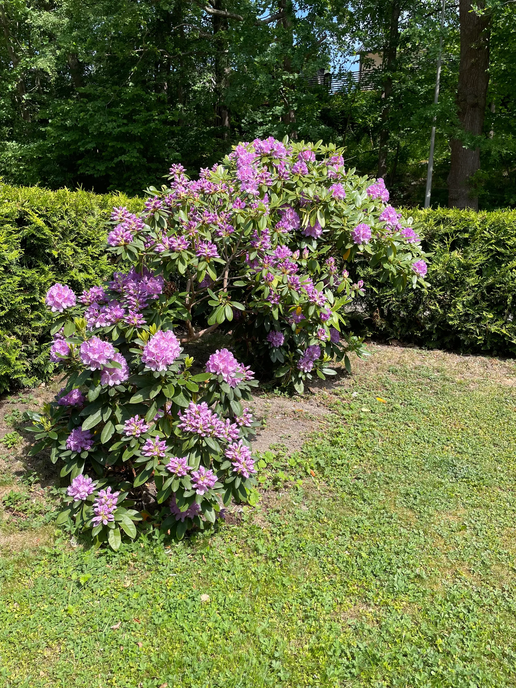 Villa, Åkerbärstigen 24, Älvsjö - Långsjö, Stockholm