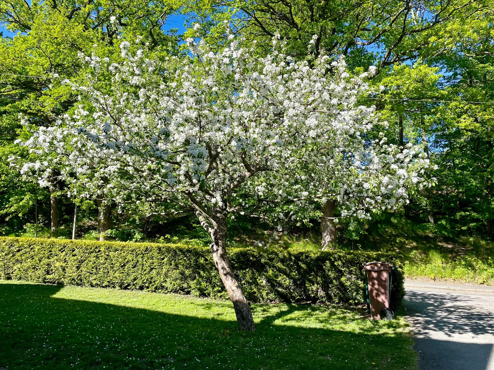 Villa, Åkerbärstigen 24, Älvsjö - Långsjö, Stockholm