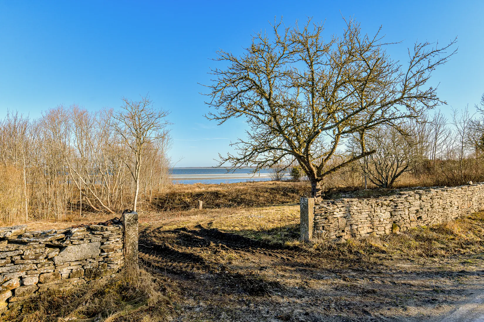 Tomt, Öja bobbenarve, Burgsvik samhälle, Gotland
