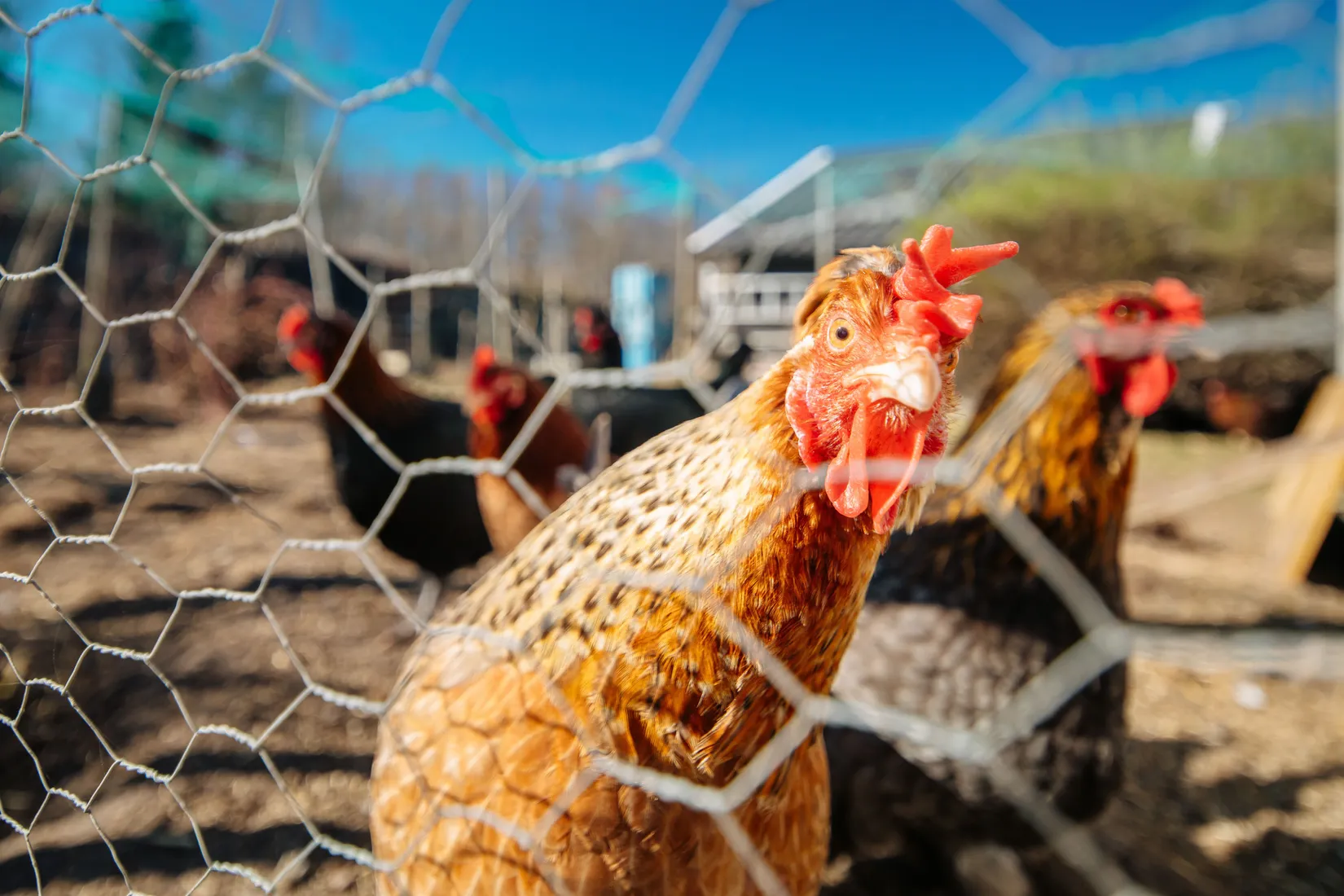 Villa, Hagabergsvägen 22, Krontorp, Mariestad