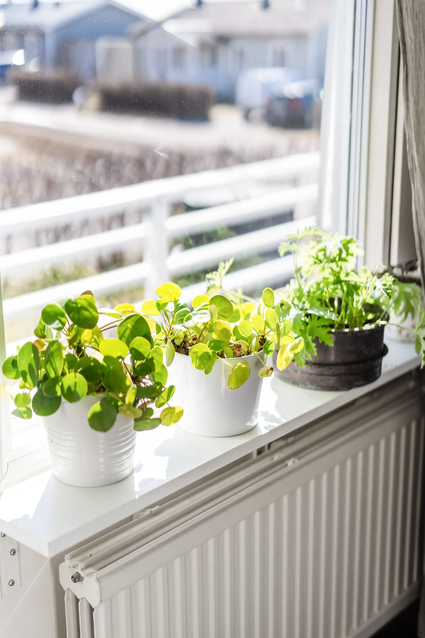 Villa, Daliagatan 6, Söråker, Timrå