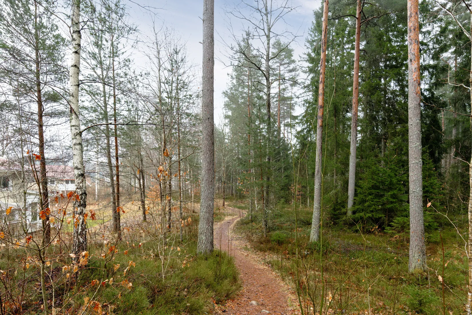 Bostadsrätt, Domherrevägen 31, Högstorp, Växjö