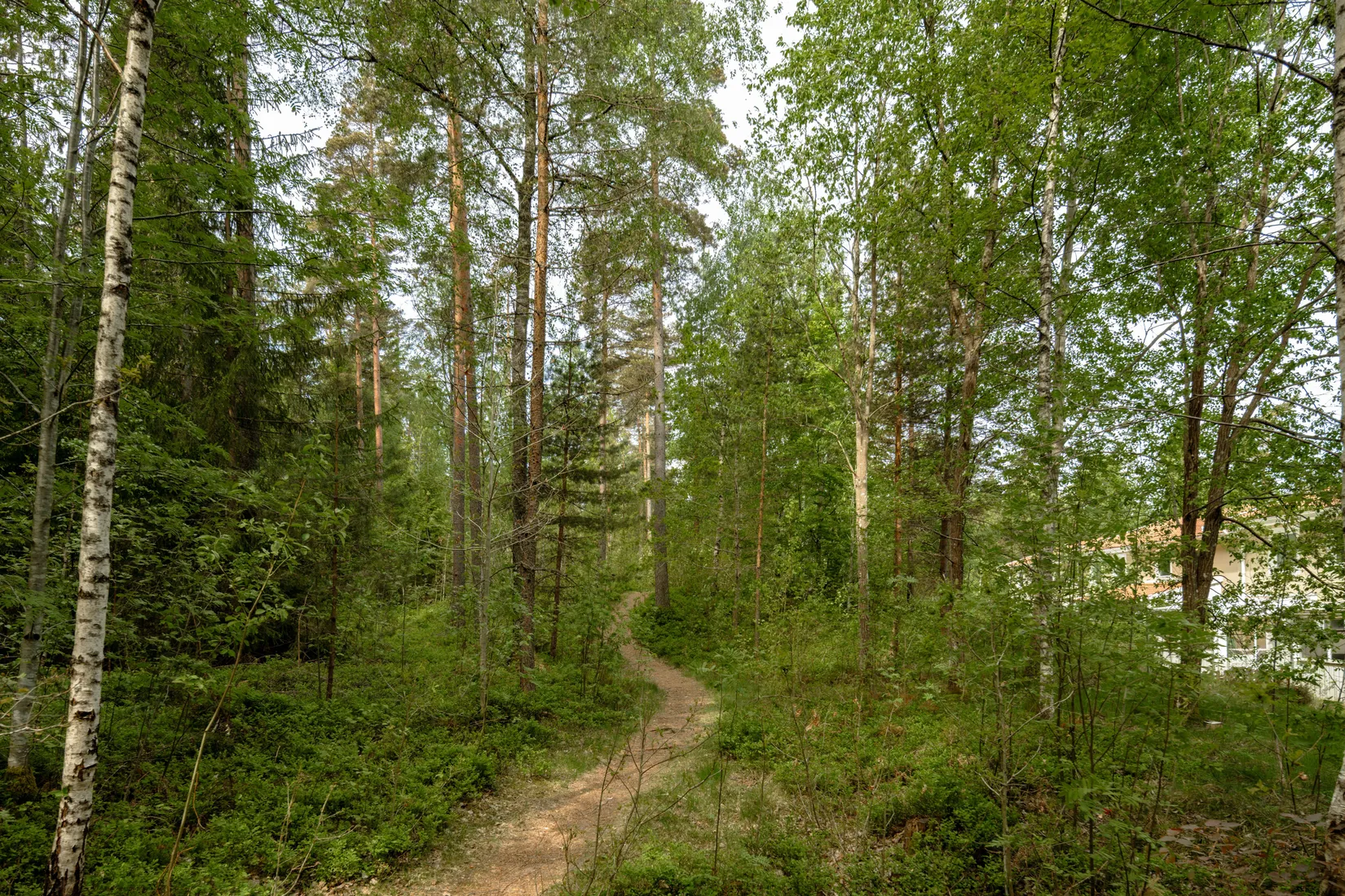Bostadsrätt, Domherrevägen 31, Högstorp, Växjö