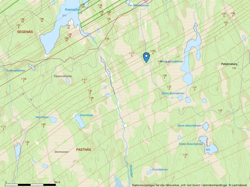 Gård/Skog, Torsby Fastnäs 1:91, Torsby