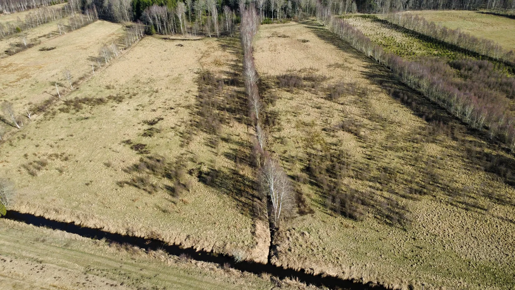 Gård/Skog, Björsgården 3, Vilske-Kleva, Falköping