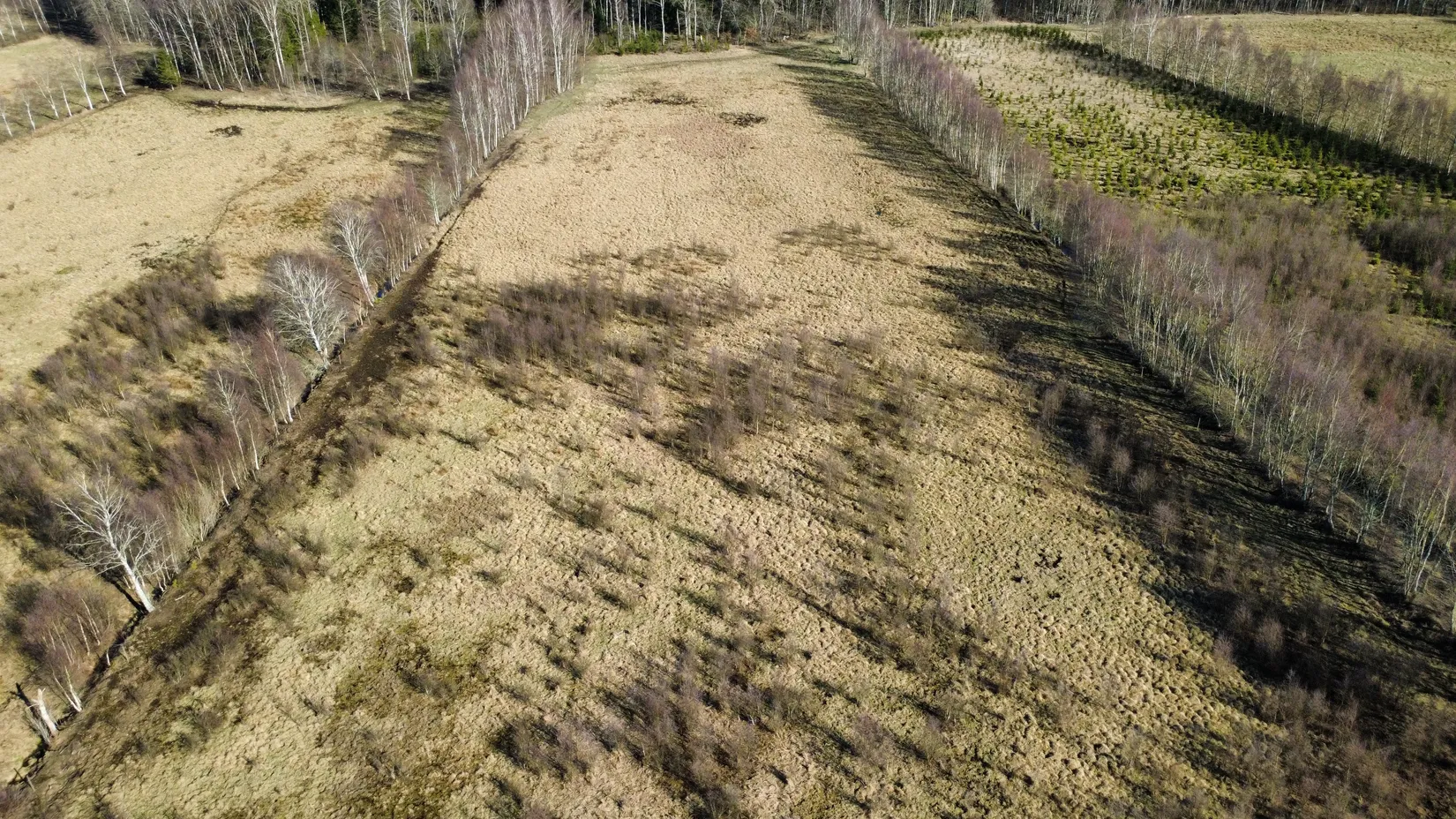 Gård/Skog, Björsgården 3, Vilske-Kleva, Falköping