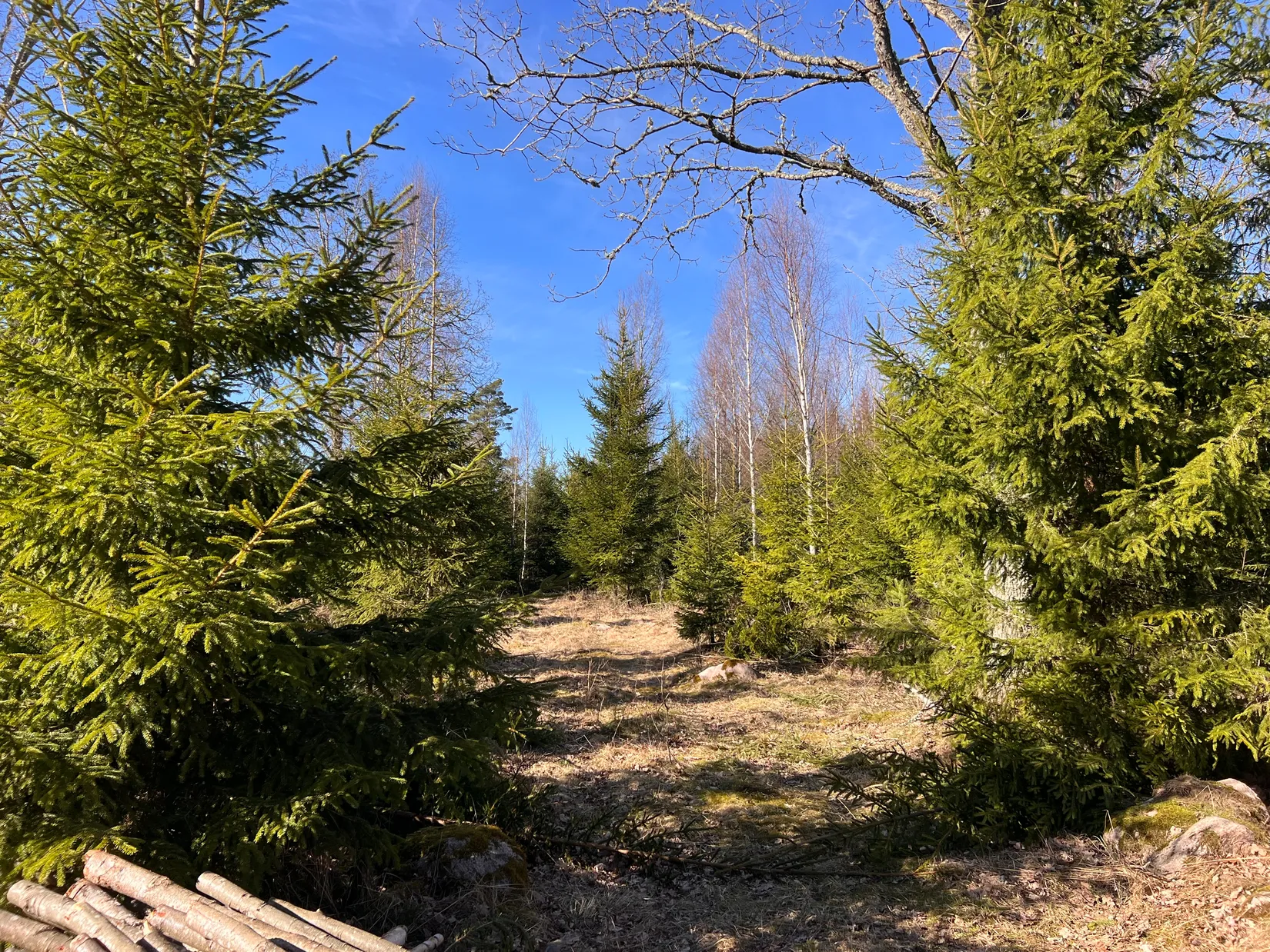 Gård/Skog, Björsgården 3, Vilske-Kleva, Falköping