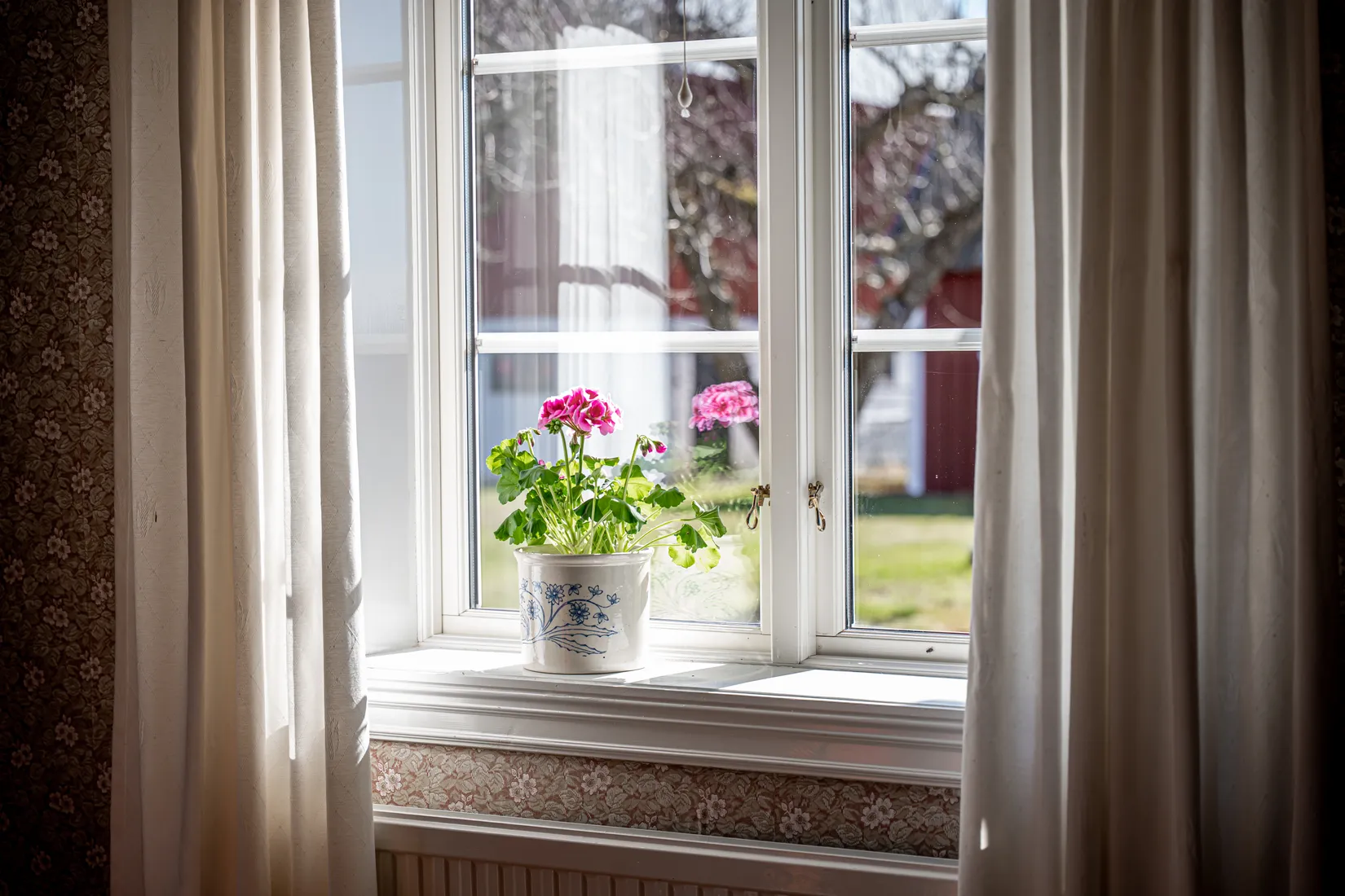 Gård/Skog, Björsgården 3, Vilske-Kleva, Falköping