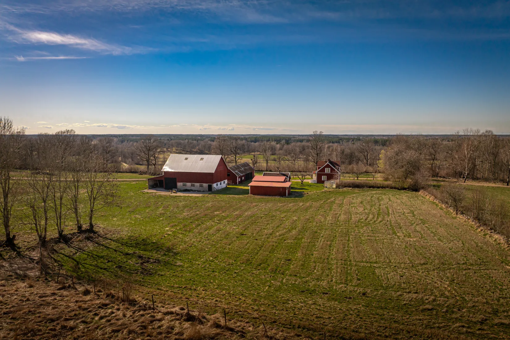 Gård/Skog, Björsgården 3, Vilske-Kleva, Falköping