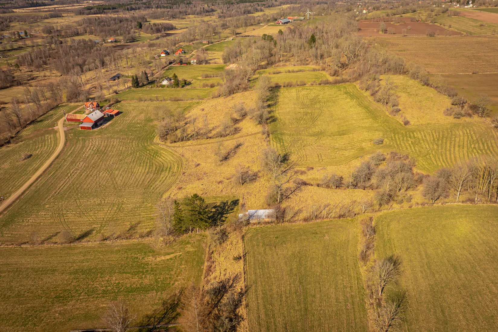 Gård/Skog, Björsgården 3, Vilske-Kleva, Falköping