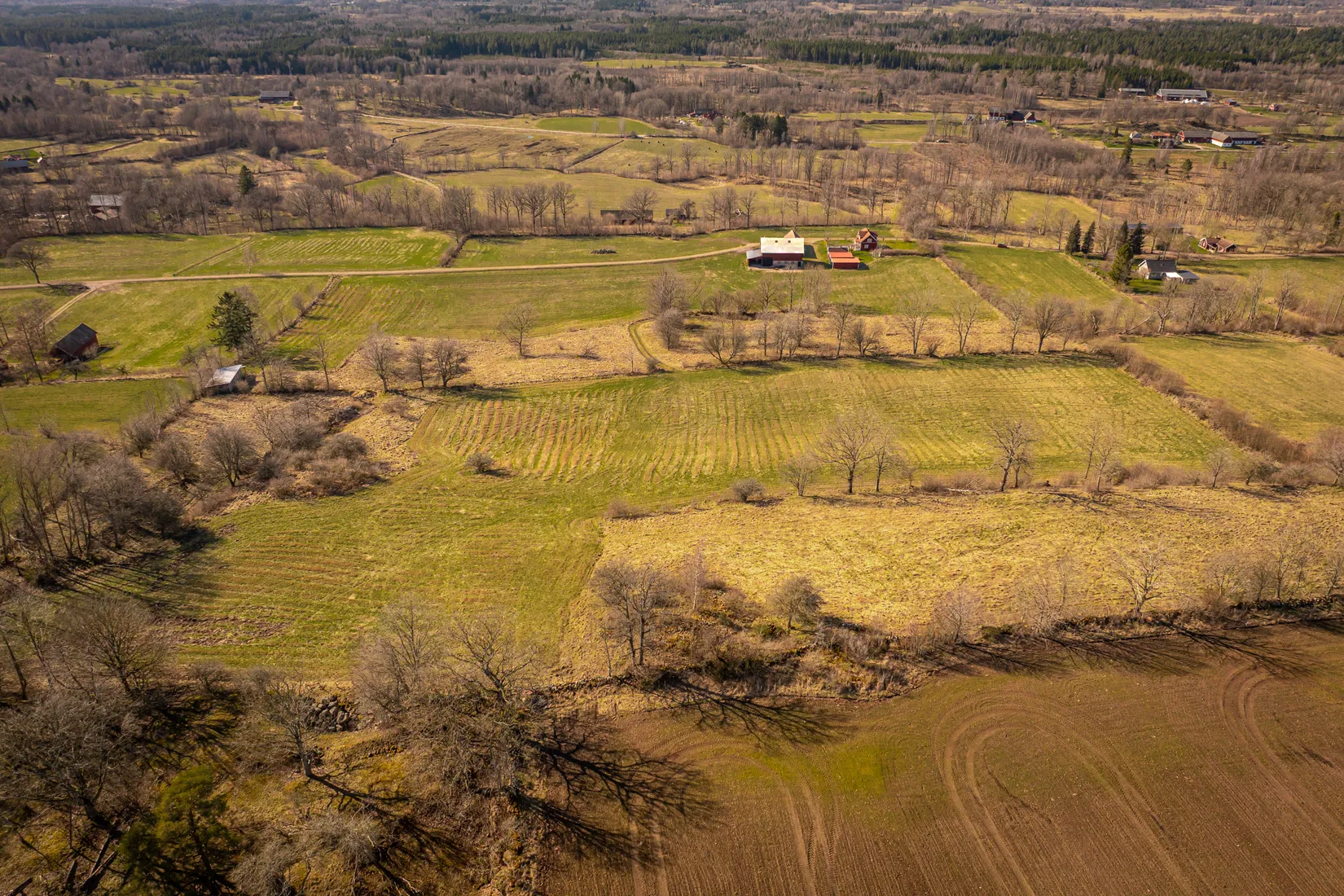Gård/Skog, Björsgården 3, Vilske-Kleva, Falköping