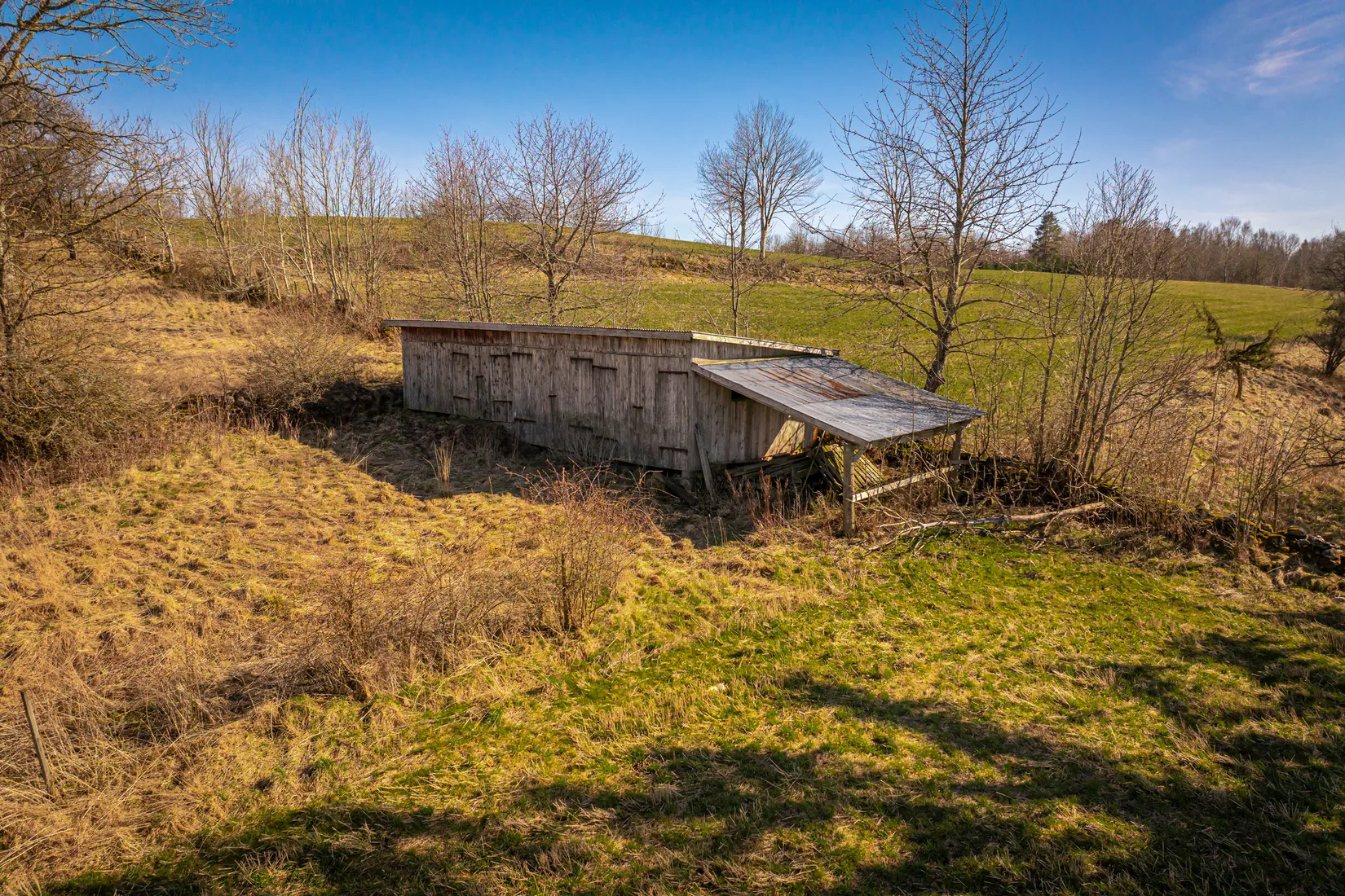Gård/Skog, Björsgården 3, Vilske-Kleva, Falköping