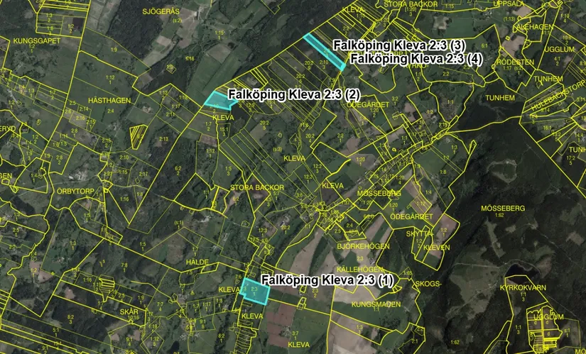 Gård/Skog, Björsgården 3, Vilske-Kleva, Falköping