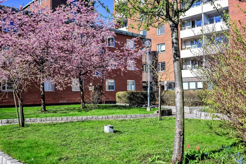 Bostadsrätt, Gröna gatan 31, Majorna, Göteborg