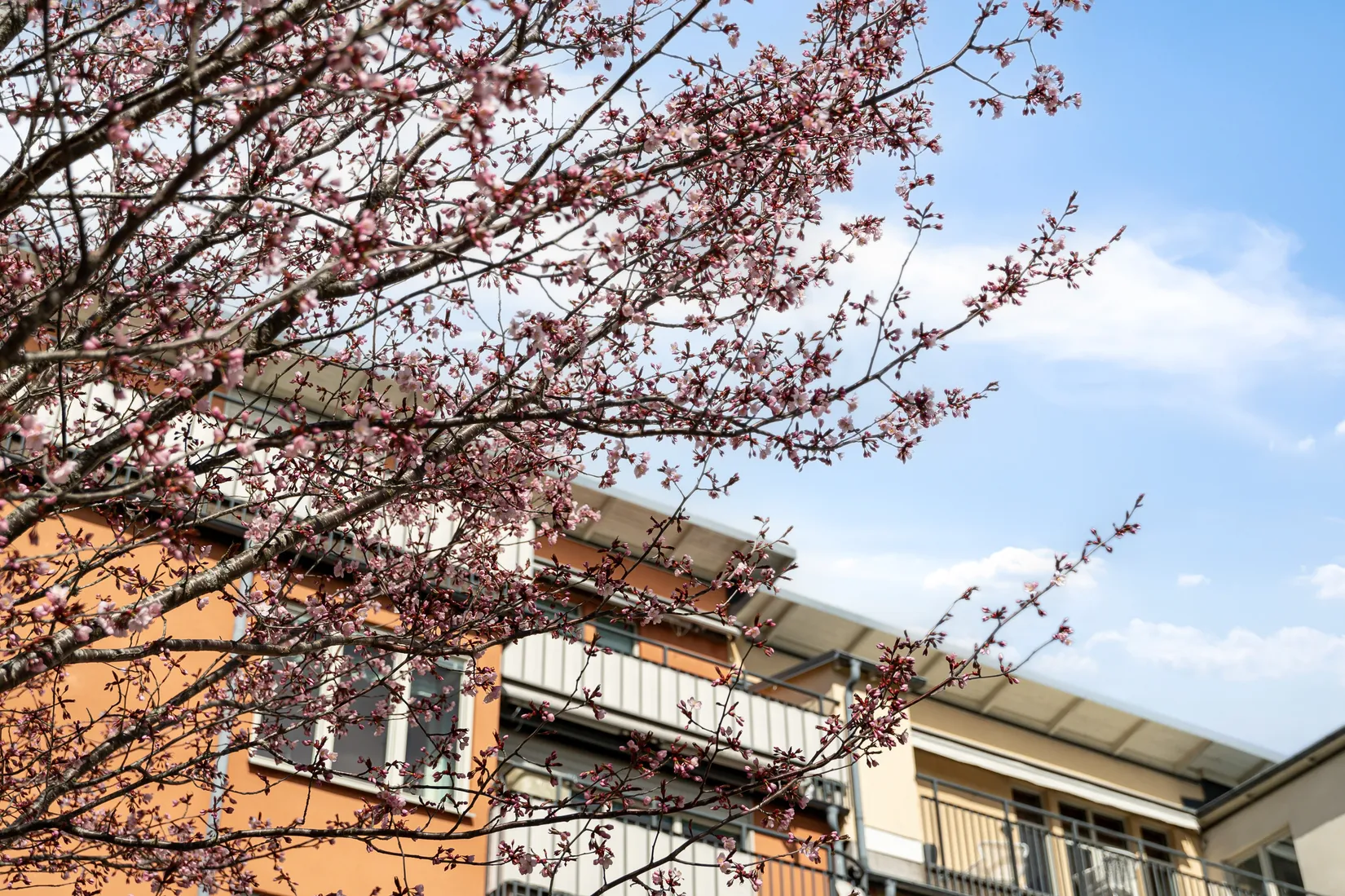 Bostadsrätt, Gösta Wahlströms Väg 10, Rickomberga, Uppsala