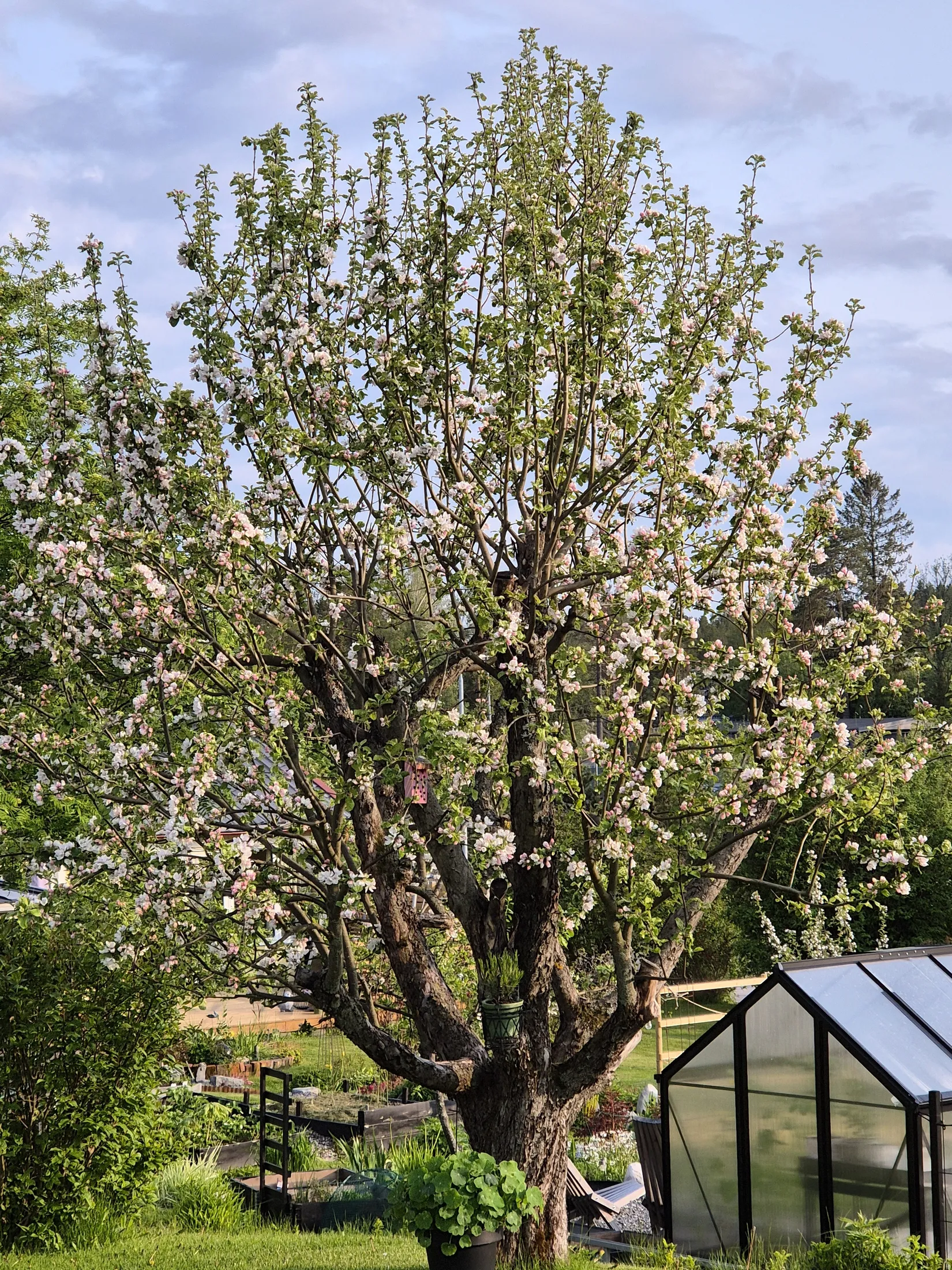 Villa, Stafettvägen 9, Änget, Härnösand