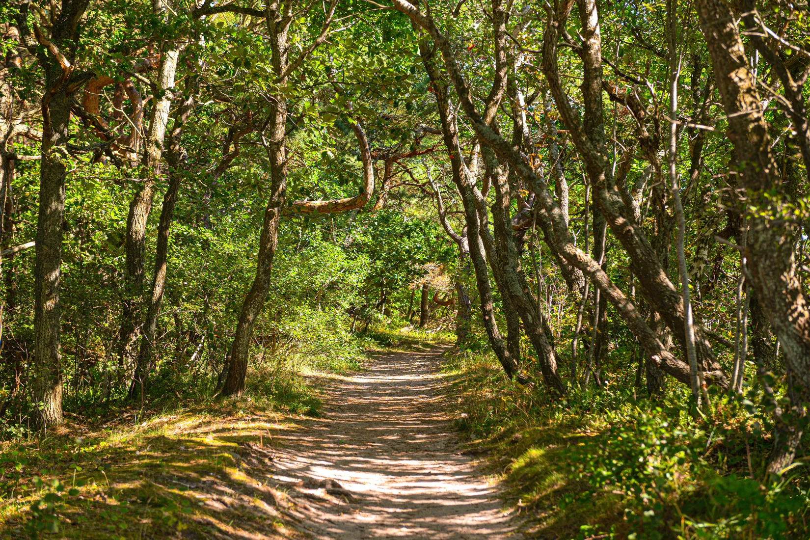 Villa, Magnarps strandväg 19, Magnarp strand, Ängelholm