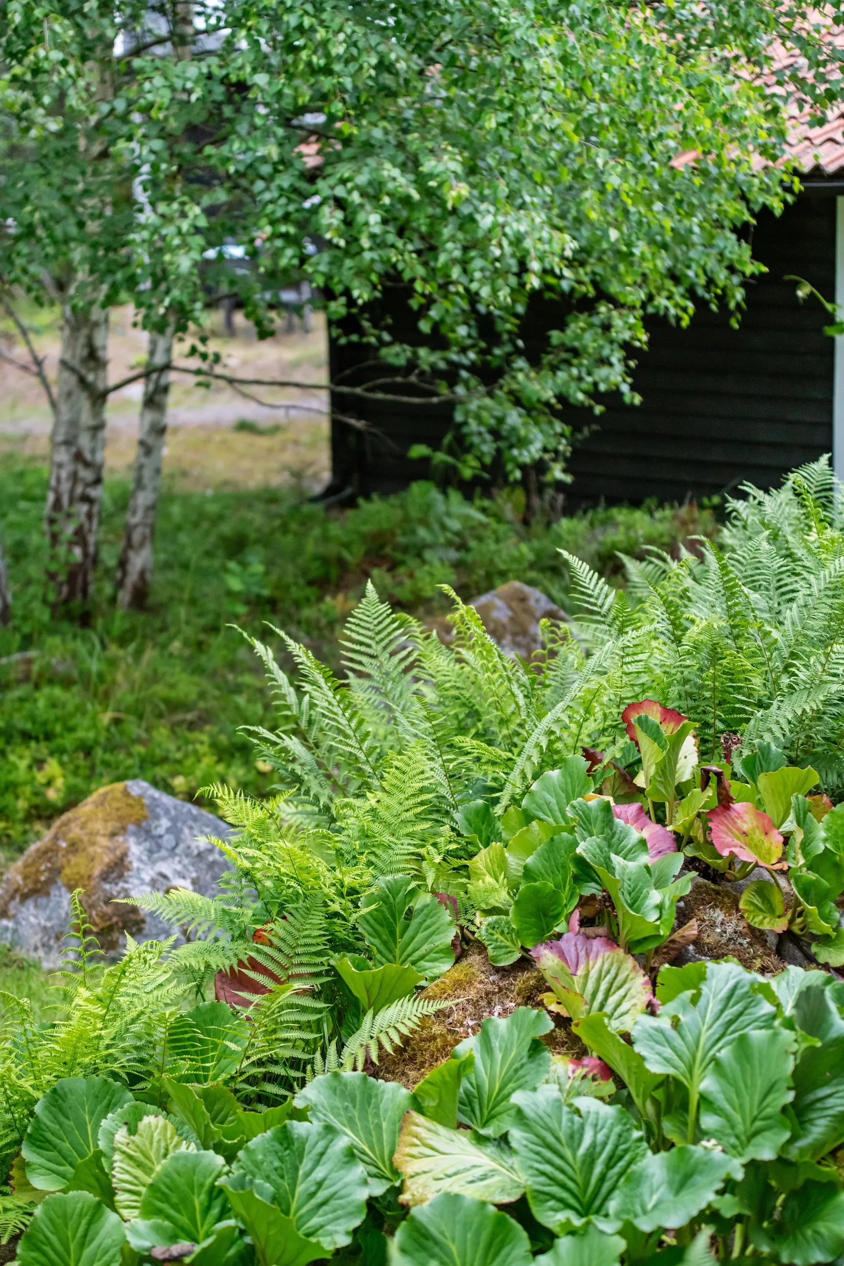 Fritidshus, Saxenvägen 75, Sättra By, Norrtälje